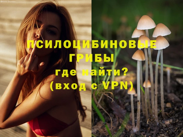mdma Верхний Тагил