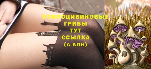 молекула духа Верея