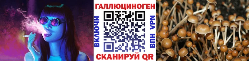даркнет сайт  Губкинский  Галлюциногенные грибы мухоморы 